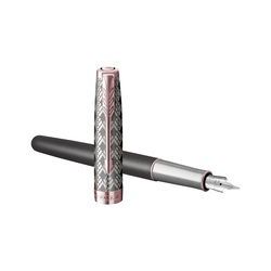 PARKER PK-2119788 stylo-plume Sonnet Premium Metal & Gris P.G.C. 18K (F, noir)