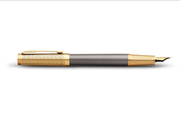 PARKER stylo-plume Cross Platform Ingenuity G.C. (F-Bleu)